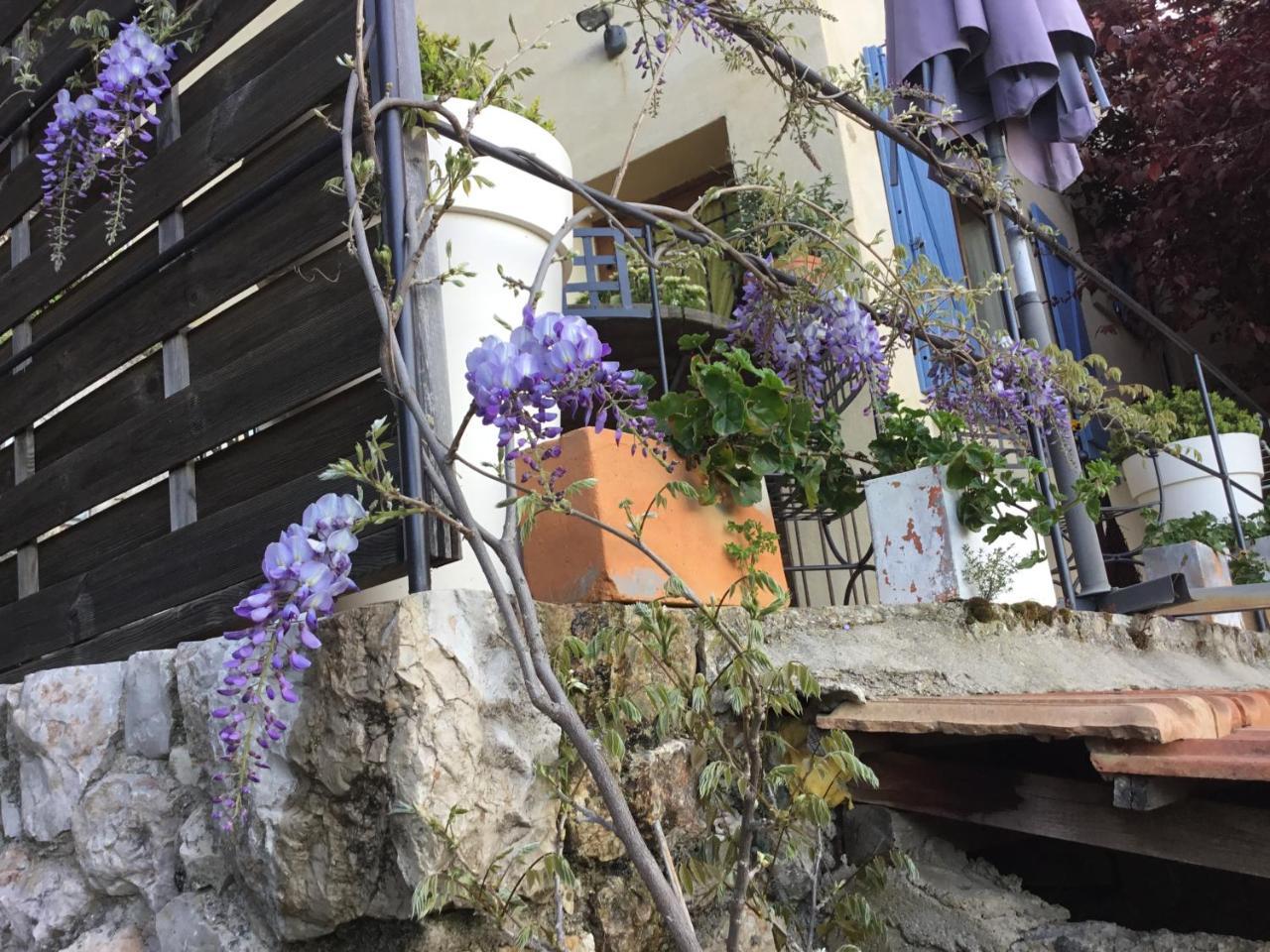 Skylark Bed & Breakfast Grasse Exteriér fotografie